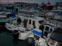 hirtshals_19-05-12_004.jpg
