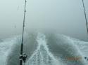 hirtshals_19-05-12_044.jpg
