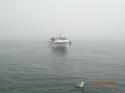 hirtshals_19-05-12_051.jpg