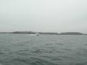 dscn4984.jpg