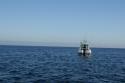dsc02246.jpg