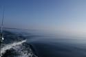 dsc02880.jpg