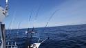 dsc00879.jpg