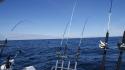 dsc00880.jpg