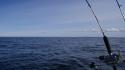 dsc00883.jpg
