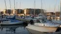 dsc00904.jpg