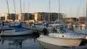 dsc00904_1.jpg