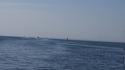 dsc00927_1.jpg