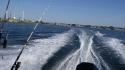 dsc00930_1.jpg