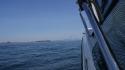 dsc00935_1.jpg