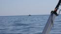dsc00937_1.jpg