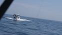 dsc00940_1.jpg