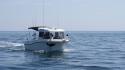 dsc00941_1.jpg