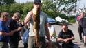 dsc00952_1.jpg