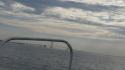 dsc00983_1.jpg