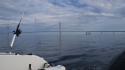 dsc00985_1.jpg
