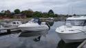dsc00990_1.jpg