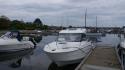 dsc00991_1.jpg