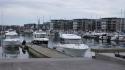 dsc00993_1.jpg