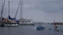 dsc01089.jpg