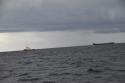 dsc_0866.jpg