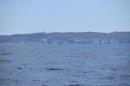 DSC_0658.JPG