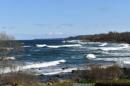 DSC_0266.JPG