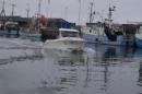 DSC01370.JPG