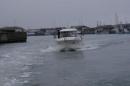 DSC01373.JPG