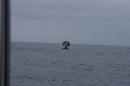 DSC01383.JPG