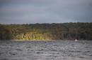 DSC_0394.JPG