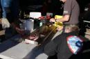 DSC01423.JPG