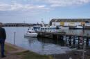 DSC01403.JPG