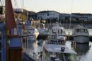 DSC01483.JPG